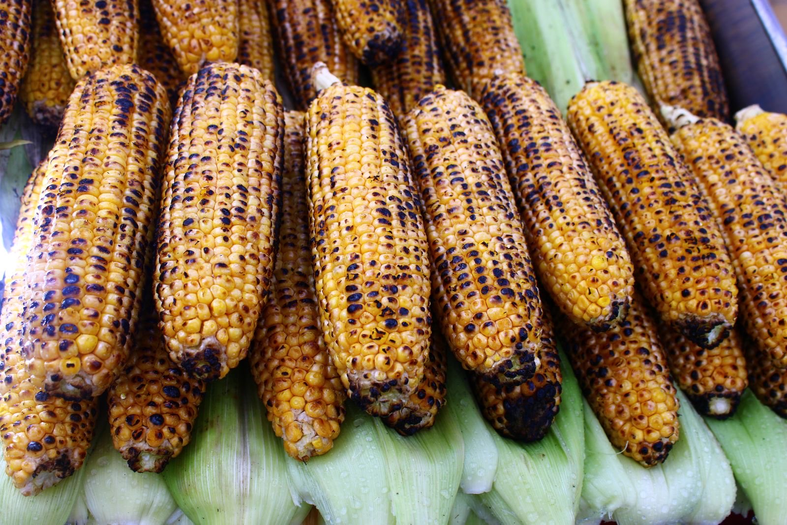 Bacon Wrapped Grilled Corn on the Cob