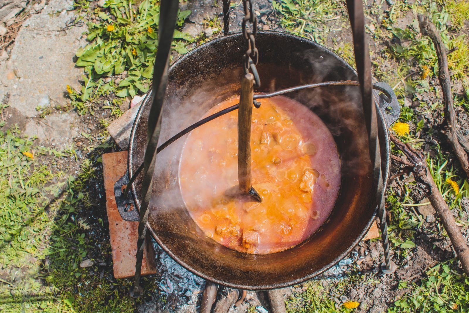 Roadkill Cook-Off and Spam Jam