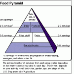 New Food Guide Pyramid
